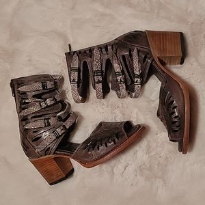 FREEBIRD BY STEVEN Pixi